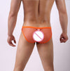 Sexy Men&#39;s Revealing Underwear Briefs Transparent Mens Fishnet Mesh Penis Pouch Underwear - NansUniqueShop4Men